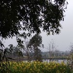昵称被和谐21720海报