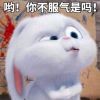 🦄丶丶