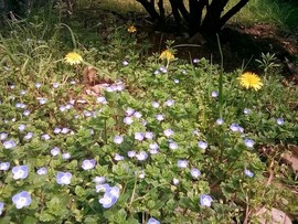 梦💞洁主播照片
