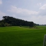 信息休