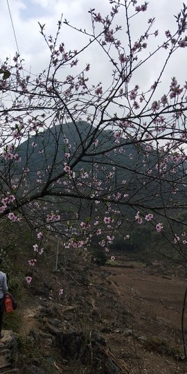 傲世英雄6主播照片
