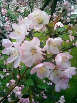 梦💞洁主播照片