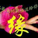 有缘人，张久和的头像