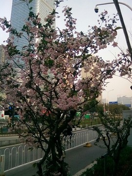 梦💞洁主播照片