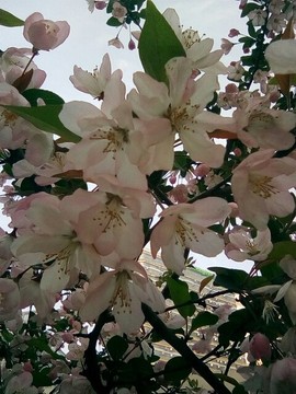 梦💞洁主播照片