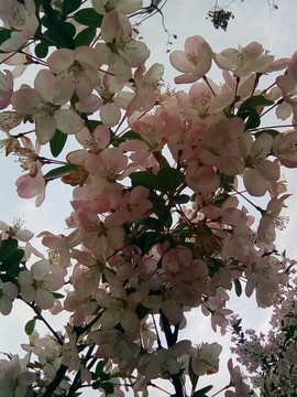 梦💞洁主播照片