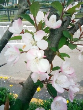 梦💞洁主播照片