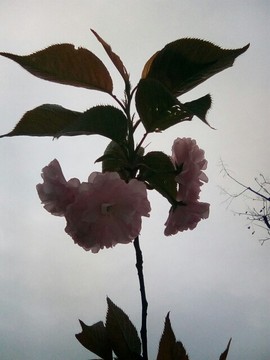 梦💞洁主播照片