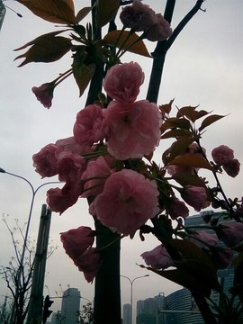 梦💞洁主播照片