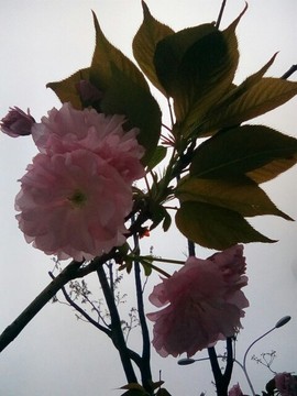 梦💞洁主播照片