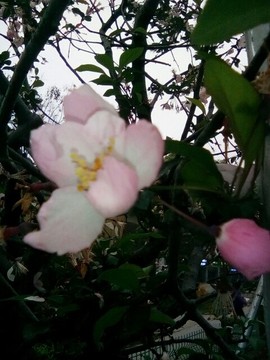 梦💞洁主播照片