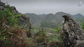 ～山水间🌴竹海～主播照片