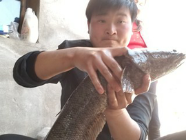 工作忙暂退主播照片