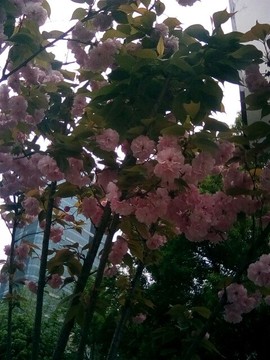 梦💞洁主播照片