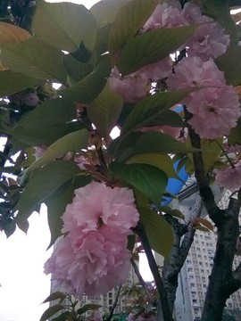 梦💞洁主播照片