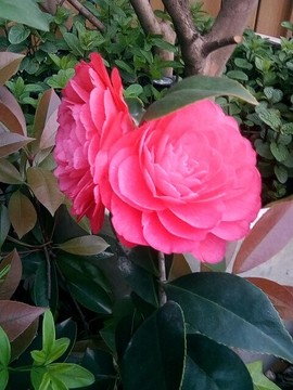 梦💞洁主播照片