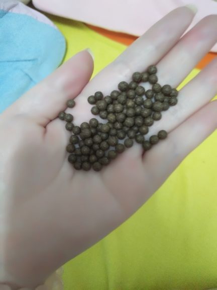 你前女友暂停不播🌸主播照片