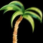 巅峰pake的头像
