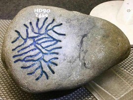 翡翠原石仙玉珠宝主播照片