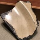 高振宇9