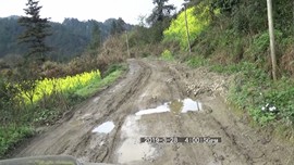 俊哥大侠主播照片