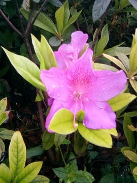 梦💞洁主播照片