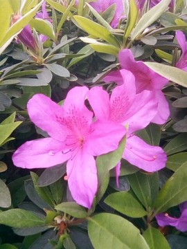 梦💞洁主播照片