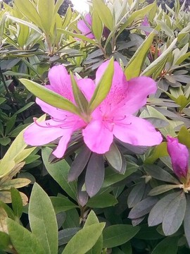 梦💞洁主播照片