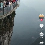湿地生态海报