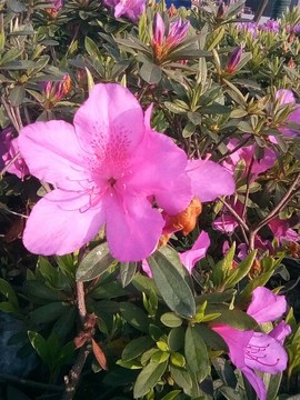 梦💞洁主播照片