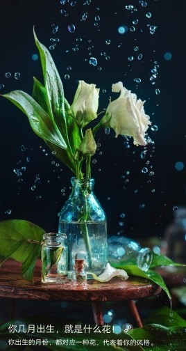 ♬默默✨小蛮宝☞🌜主播照片