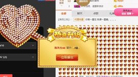 海鸽休息几天主播照片