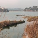刘洋河$