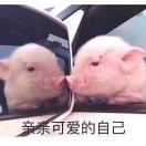 导演桑小幌子