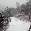 黑科技市场