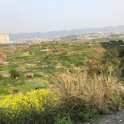 。挽歌🌺