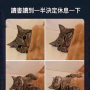 香肠煎蛋啊