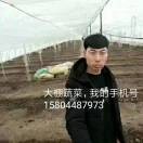 杨继宇1580448