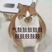 臭屁猴