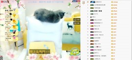 上九天揽月～主播照片