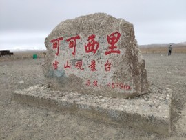 实力决定话语权主播照片