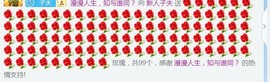 指挥官。主播照片
