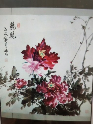 国画牡丹孟老师的主播照片