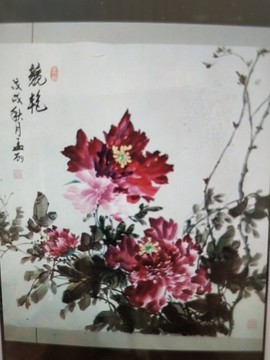 国画牡丹孟老师主播照片