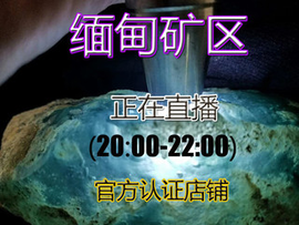 不乱讲主播照片