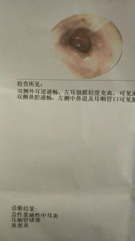 ╰☼喵喵✦宝贝主播照片