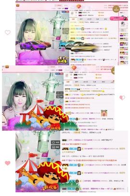 一只雁~主播照片