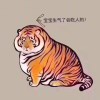 透明的夜