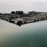 海钓小罗