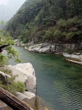 木槿兮求升级主播照片